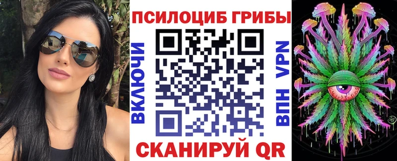 Псилоцибиновые грибы Psilocybe  купить наркотик  Куровское 
