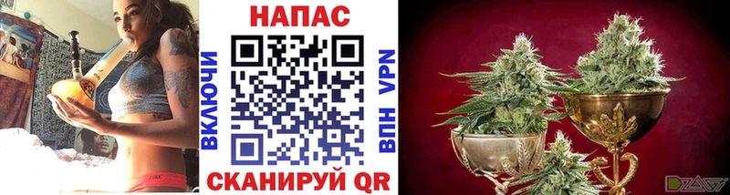 где купить наркоту  Куровское  hydra маркетплейс  Канабис ГИДРОПОН 